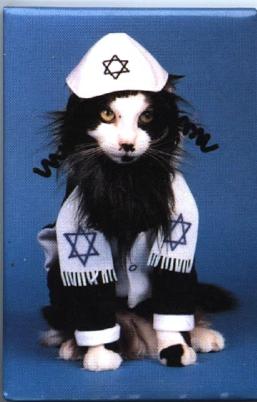 kosher kitty